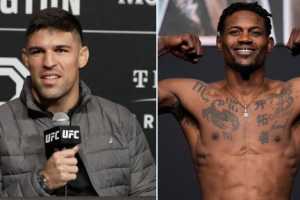UFC готовит бой Холланда и Луке