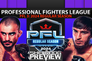 Превью ивента PFL 3