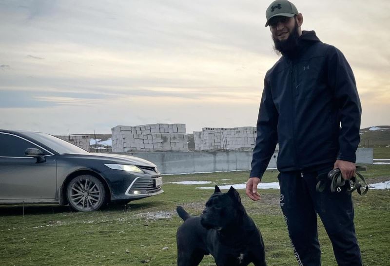 Чимаев раскритиковал бойцов UFC за отказ выходить на бой