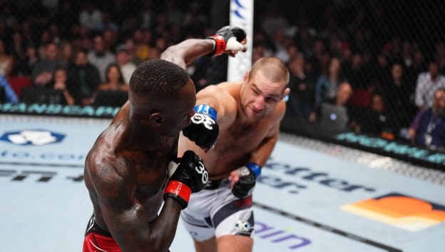 Результаты UFC 293