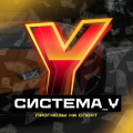 Система Y