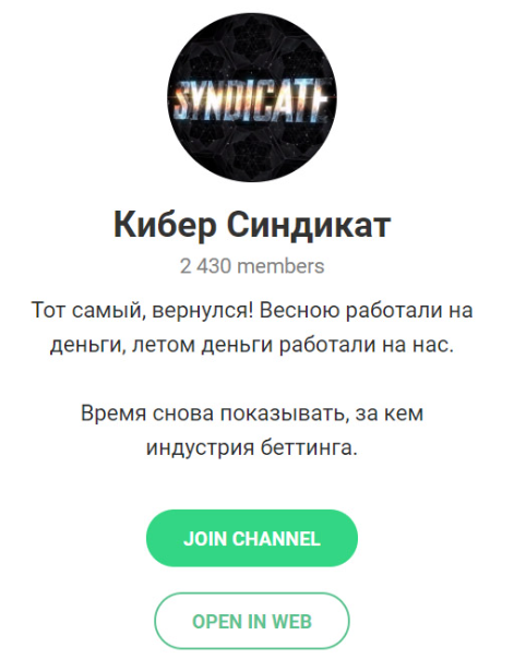 Кибер Синдикат