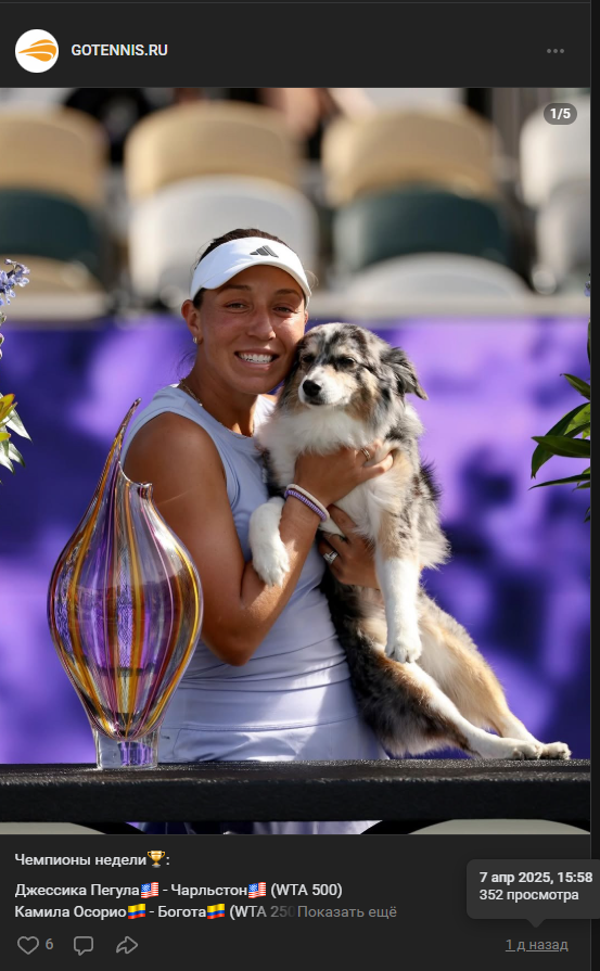 gotennis ru