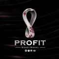 Profit ️🏒🏀| Minaev Mikhail⚽