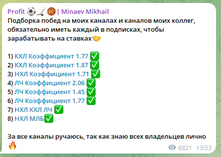 профит минаев михаил