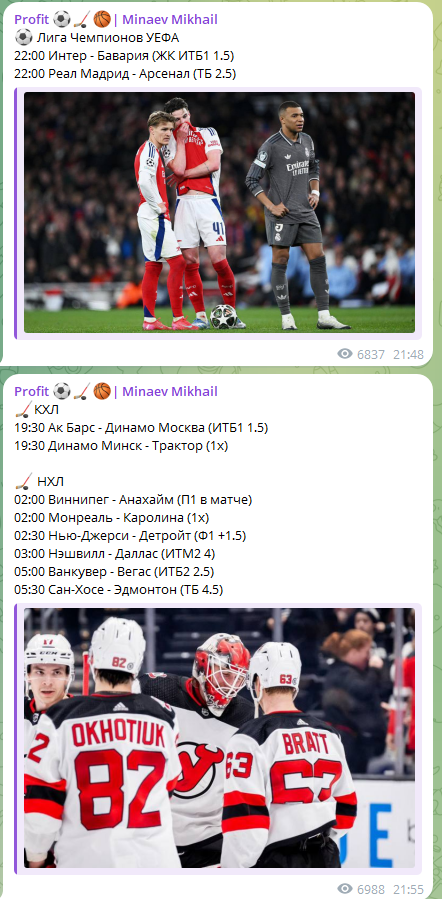 профит минаев михаил