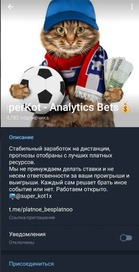 СуперКот