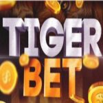 Tiger Bet