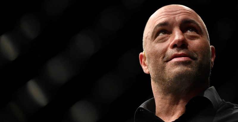 Комментатора UFC, Джо Рогана, вызвал на бой известный западный блогер