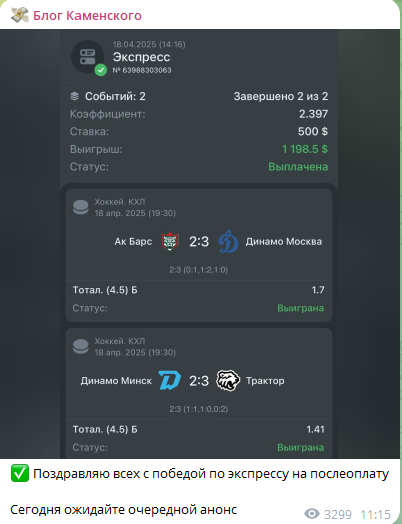 blogkamenskiy
