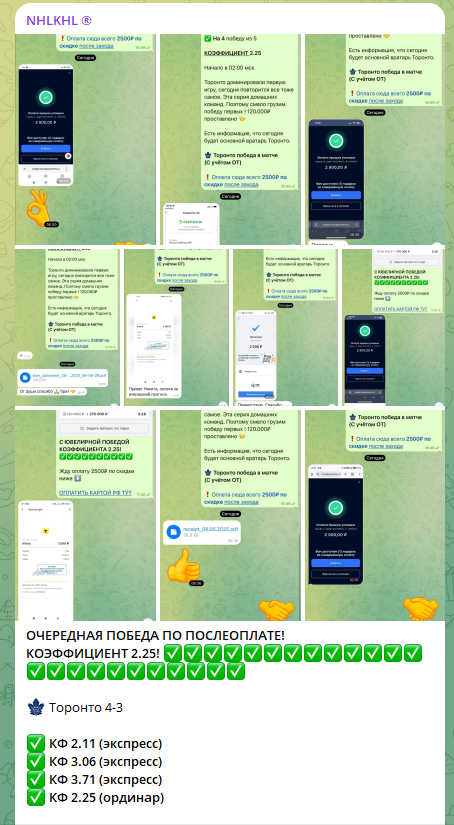 Nhlkhl bot