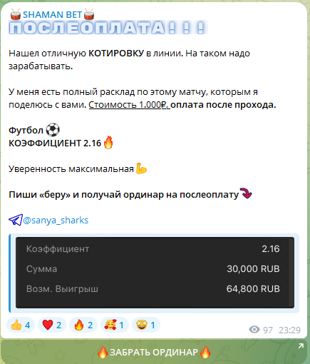 shamanbet livesport